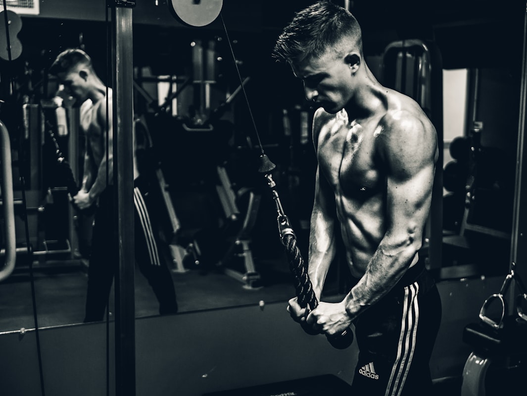 Protein timing and meals